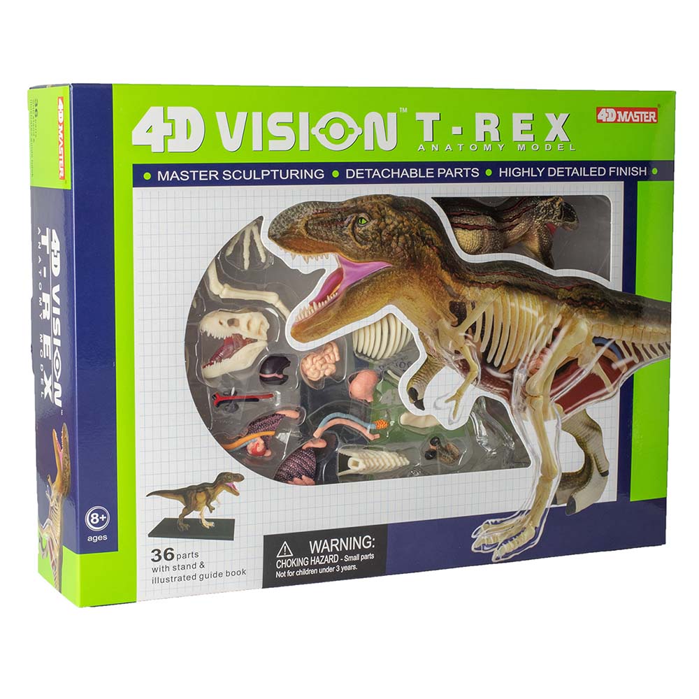 4D Vision T. rex Model