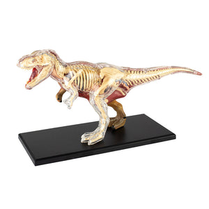 4D Vision T. rex Model