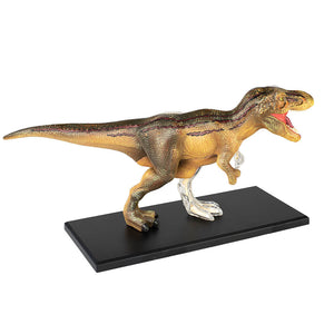 4D Vision T. rex Model