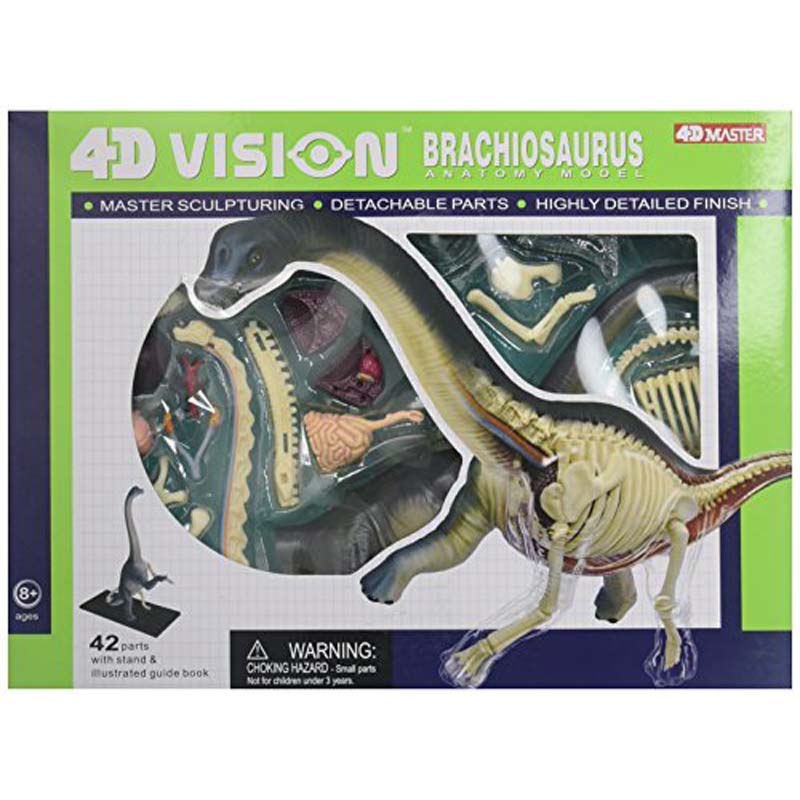 4D Vision Brachiosaurus Model