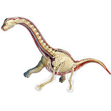 4D Vision Brachiosaurus Model