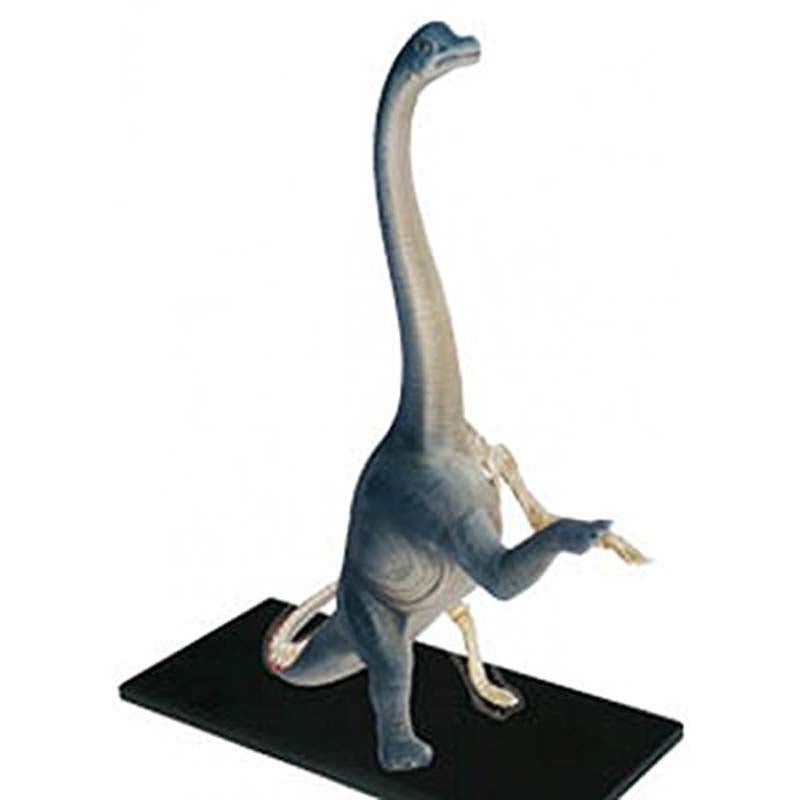 4D Vision Brachiosaurus Model