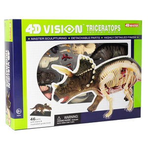 4D Triceratops Model