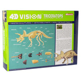 4D Triceratops Model