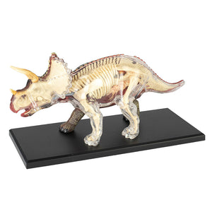 4D Triceratops Model