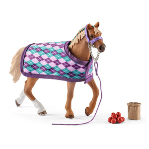 English Thoroughbred with Blanket