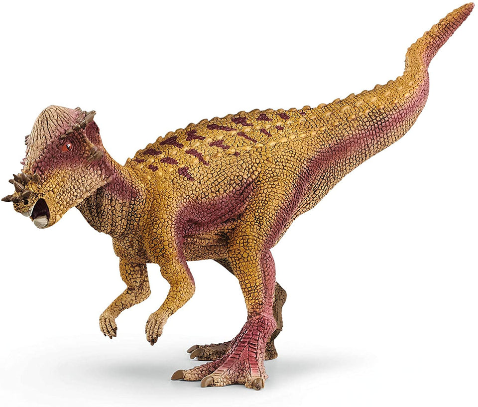 Pachycephalosaurus