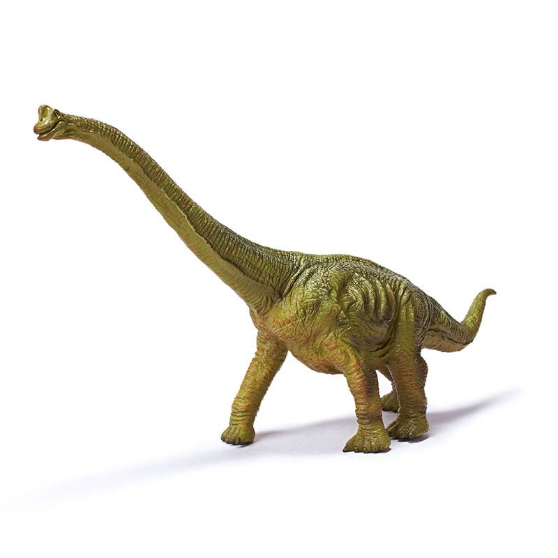 Brachiosaurus