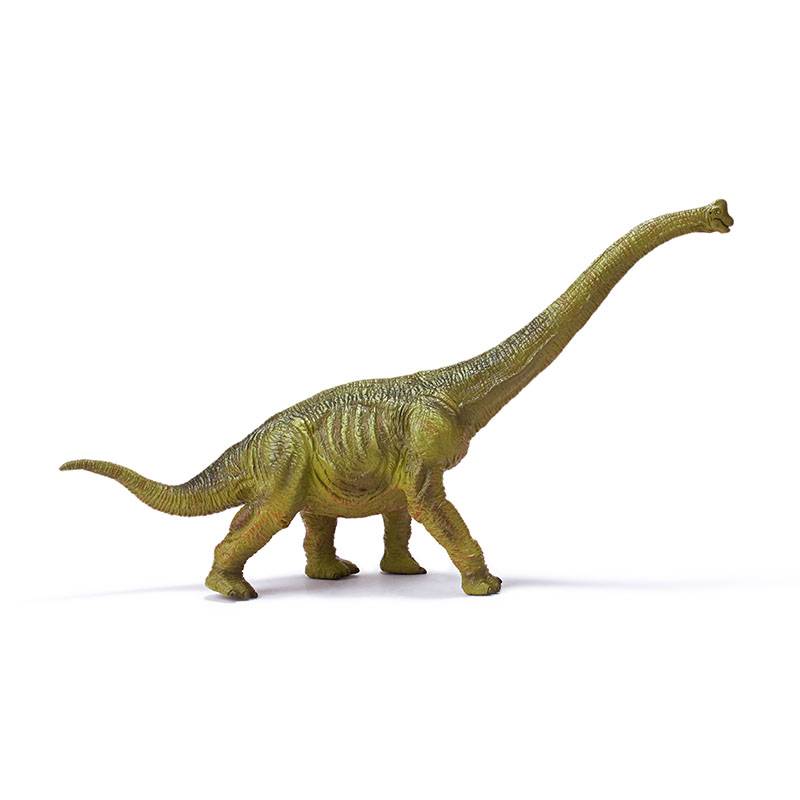 Brachiosaurus