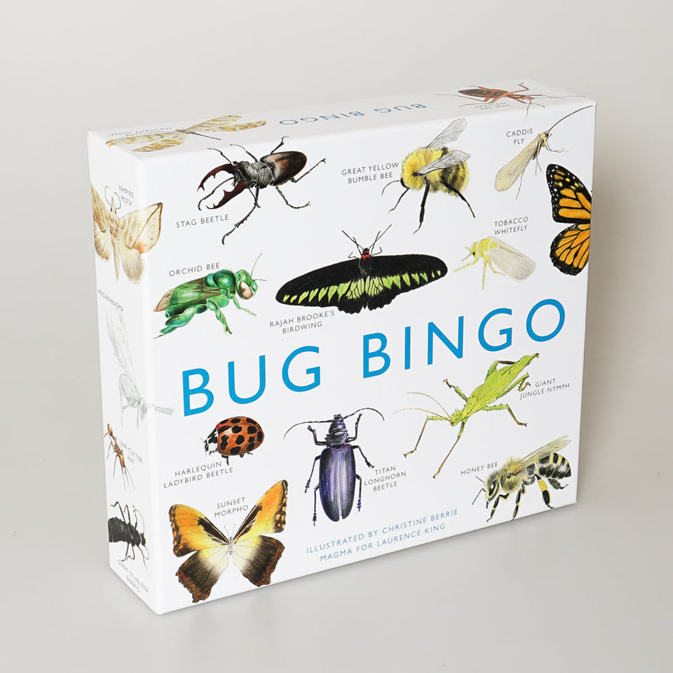 Bug Bingo