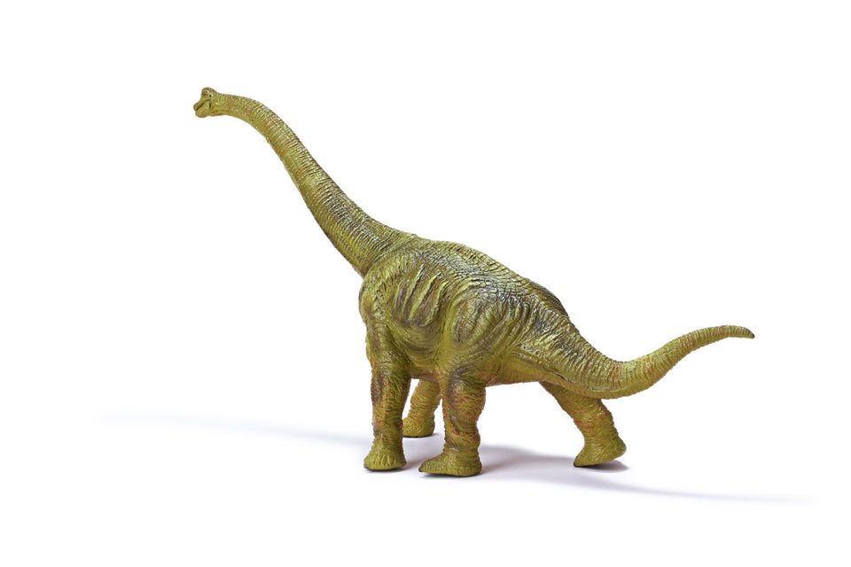 Brachiosaurus