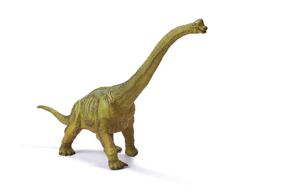 Brachiosaurus